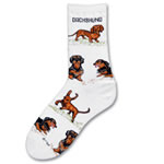 All Three Coats Dachshund Socks