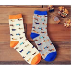 Dachshund Socks
