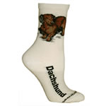 White Socks With Red Dachshunds